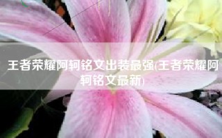 王者荣耀阿轲铭文出装最强(王者荣耀阿轲铭文最新)