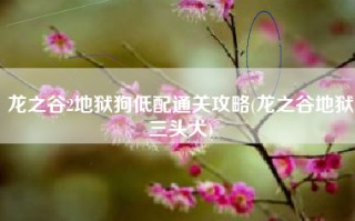 龙之谷2地狱狗低配通关攻略(龙之谷地狱三头犬)