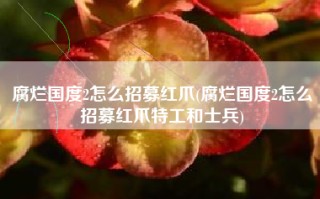 腐烂国度2怎么招募红爪(腐烂国度2怎么招募红爪特工和士兵)