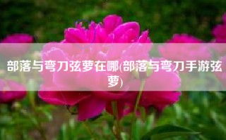 部落与弯刀弦萝在哪(部落与弯刀手游弦萝)