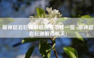 原神层岩巨渊解锁前置条件一览 (原神层岩巨渊解锁机关)