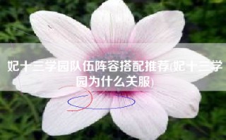 妃十三学园队伍阵容搭配推荐(妃十三学园为什么关服)