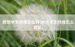 绝地求生双排怎么开(绝地求生双排怎么退队)