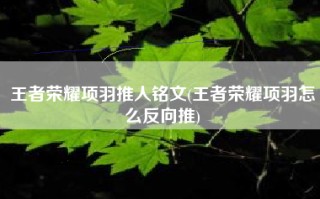 王者荣耀项羽推人铭文(王者荣耀项羽怎么反向推)