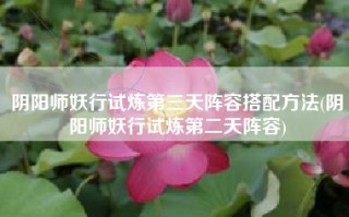 阴阳师妖行试炼第三天阵容搭配方法(阴阳师妖行试炼第二天阵容)
