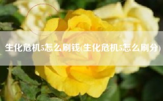生化危机5怎么刷钱(生化危机5怎么刷分)