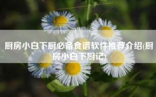厨房小白下厨必备食谱软件推荐介绍(厨房小白下厨记)