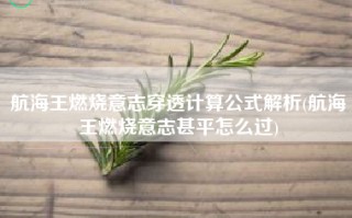 航海王燃烧意志穿透计算公式解析(航海王燃烧意志甚平怎么过)