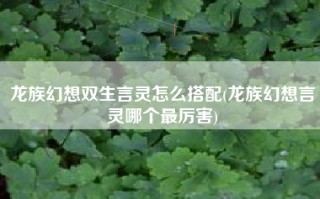 龙族幻想双生言灵怎么搭配(龙族幻想言灵哪个最厉害)