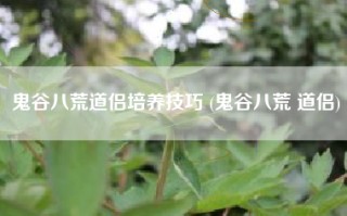 鬼谷八荒道侣培养技巧 (鬼谷八荒 道侣)