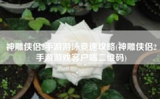 神雕侠侣2手游游泳竞速攻略(神雕侠侣2手游游戏客户端二维码)