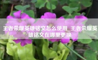 王者荣耀英雄铭文怎么使用_王者荣耀英雄铭文在哪里更换
