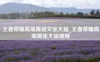 王者荣耀高渐离铭文张大仙_王者荣耀高渐离张大仙视频