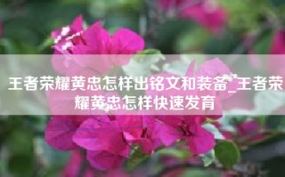 王者荣耀黄忠怎样出铭文和装备_王者荣耀黄忠怎样快速发育