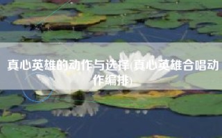 真心英雄的动作与选择(真心英雄合唱动作编排)