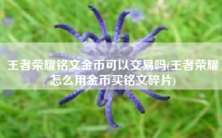 王者荣耀铭文金币可以交易吗(王者荣耀怎么用金币买铭文碎片)