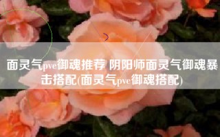 面灵气pve御魂推荐 阴阳师面灵气御魂暴击搭配(面灵气pve御魂搭配)