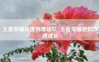 王者荣耀攻速物理铭文_王者荣耀铠的攻速成长