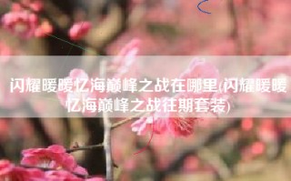 闪耀暖暖忆海巅峰之战在哪里(闪耀暖暖忆海巅峰之战往期套装)