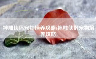 神雕侠侣宠物培养攻略(神雕侠侣宠物培养攻略)