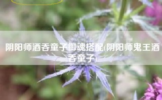 阴阳师酒吞童子御魂搭配(阴阳师鬼王酒吞童子)