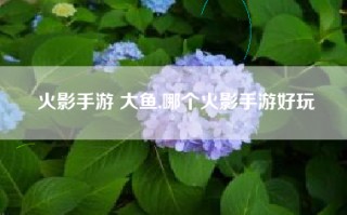 火影手游 大鱼,哪个火影手游好玩