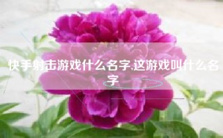 快手射击游戏什么名字,这游戏叫什么名字