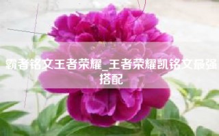 霸者铭文王者荣耀_王者荣耀凯铭文最强搭配