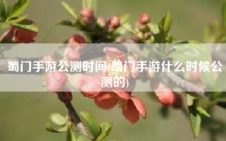 蜀门手游公测时间(蜀门手游什么时候公测的)