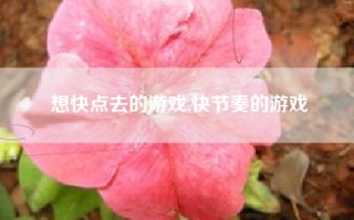 想快点去的游戏,快节奏的游戏