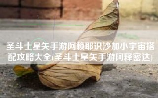 圣斗士星矢手游阿赖耶识沙加小宇宙搭配攻略大全(圣斗士星矢手游阿释密达)