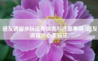 道友请留步玩法等级表与注意事项 (道友请留步心斋玩法)