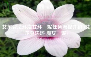 艾尔登法环魔女环菈妮任务流程介绍 (艾尔登法环 魔女菈妮)
