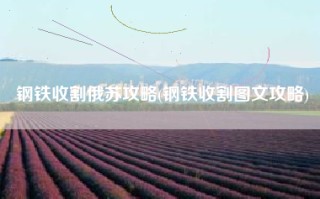 钢铁收割俄苏攻略(钢铁收割图文攻略)
