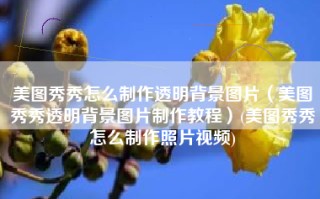 美图秀秀怎么制作透明背景图片（美图秀秀透明背景图片制作教程）(美图秀秀怎么制作照片视频)