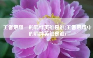 王者荣耀暃的羁绊英雄是谁(王者荣耀中暃的羁绊英雄是谁)