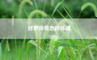 修罗帝尊怎样炼魂