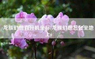 龙族幻想直升机坐标(龙族幻想怎么坐地上)