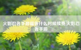 火影忍者手游福袋什么时候续费,火影忍者手游