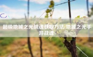 超级地城之光战魂获取方法(地城之光手游战魂)