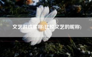 文艺游戏昵称(比较文艺的昵称)