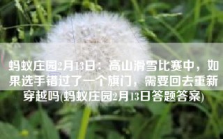 蚂蚁庄园2月13日：高山滑雪比赛中，如果选手错过了一个旗门，需要回去重新穿越吗(蚂蚁庄园2月13日答题答案)