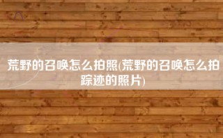 荒野的召唤怎么拍照(荒野的召唤怎么拍踪迹的照片)