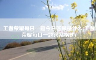 王者荣耀每日一题今日答案是什么(王者荣耀每日一题答案格式)