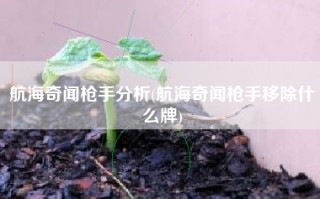 航海奇闻枪手分析(航海奇闻枪手移除什么牌)