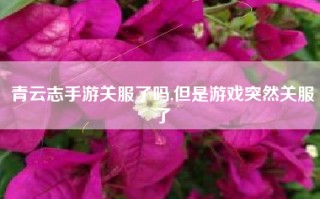 青云志手游关服了吗,但是游戏突然关服了