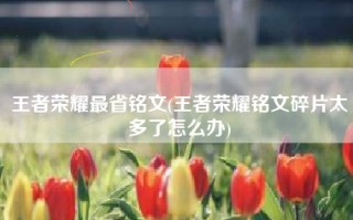 王者荣耀最省铭文(王者荣耀铭文碎片太多了怎么办)