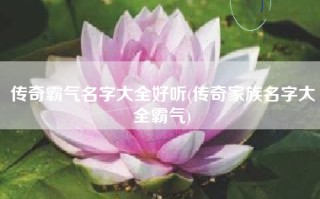 传奇霸气名字大全好听(传奇家族名字大全霸气)