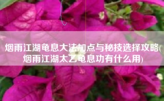 烟雨江湖龟息大法加点与秘技选择攻略(烟雨江湖太乙龟息功有什么用)