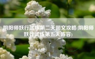阴阳师妖行试炼第二天图文攻略(阴阳师妖行试炼第五天阵容)